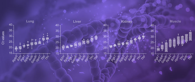 Systematic Identification of the Optimal Housekeeping Genes for Accurate Transcriptomic and Proteomic Profiling of Tissues following Complex Traumatic Injury
