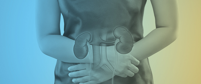 Big Data in Chronic Kidney Disease: Evolution or Revolution?