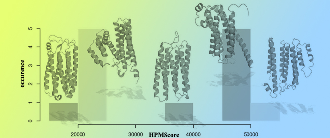 Evaluation of Transmembrane Protein Structural Models Using HPMScore