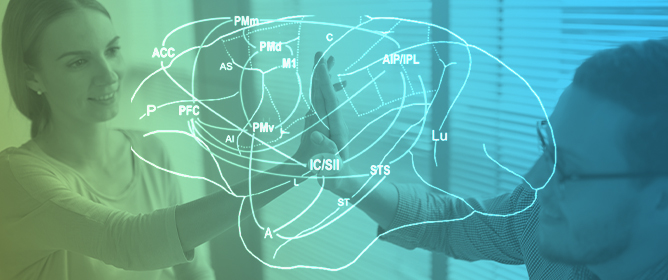 Social Touch: Its Mirror-like Responses and Implications in Neurological and Psychiatric Diseases