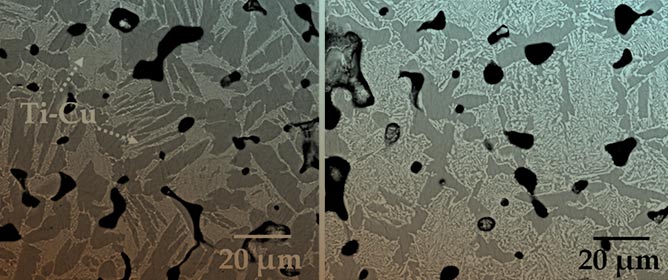 Powder Metallurgy Fabrication and Characterization of Ti6Al4V/xCu Alloys for Biomedical Applications