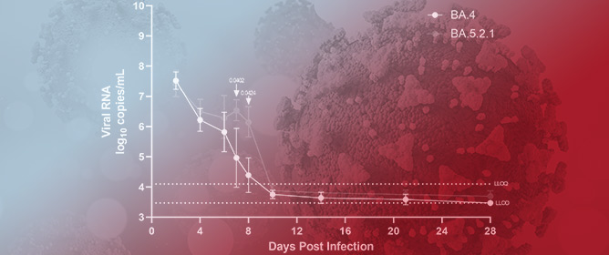 The Omicron Sub-Variant BA.4 Displays a Remarkable Lack of Clinical Signs in a Golden Syrian Hamster Model of SARS-CoV-2 Infection