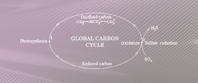 A New View on the Global Redox-Cycle of Biosphere Carbon