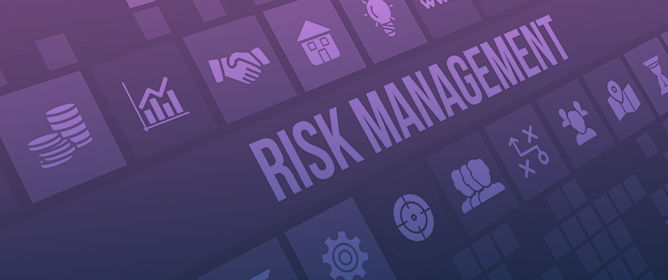 Risk Planning and Management in Portuguese Companies&mdash;A Statistical Approach