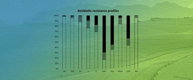 Identification and Characterization of Antibiotic-Resistant, Gram-Negative Bacteria Isolated from Korean Fresh Produce and Agricultural Environment
