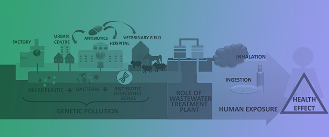 Microplastics and Antibiotic Resistance: The Magnitude of the Problem and the Emerging Role of Hospital Wastewater