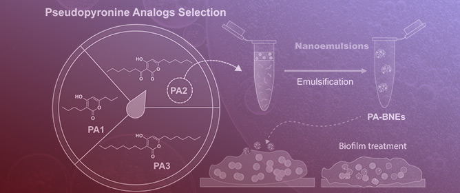 Synergistic Antibiofilm Activity with Biodegradable Nanoemulsions Incorporating Pseudopyronine Analogs