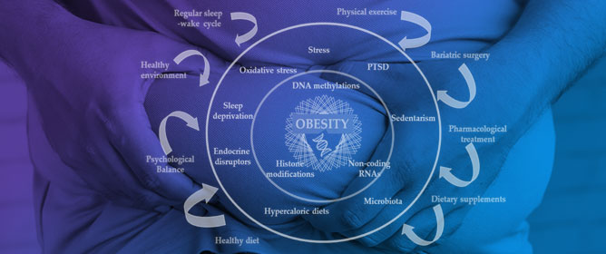 360-Degree Perspectives on Obesity