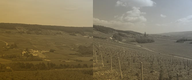 Internal Structure and Reactivations of a Mass Movement: The Case Study of the Jacotines Landslide (Champagne Vineyards, France)