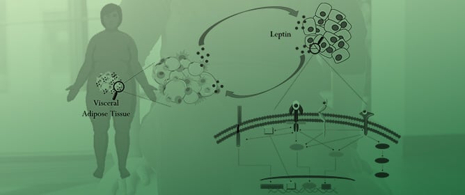 Leptin: A Heavyweight Player in Obesity-Related Cancers