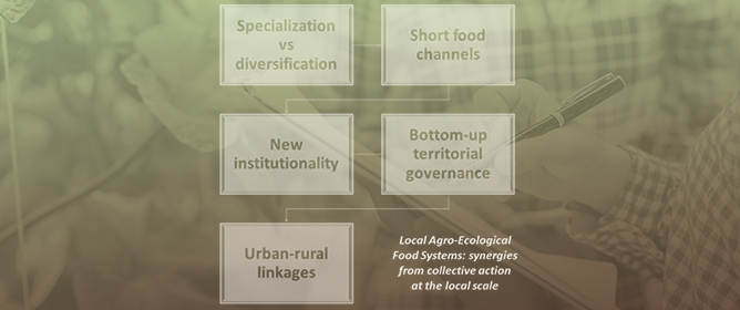 Reflecting on the Concept of Local Agroecological Food Systems