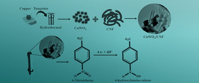 Fabrication of Carbon Nanofiber Incorporated with CuWO<sub>4</sub> for Sensitive Electrochemical Detection of 4-Nitrotoluene in Water Samples