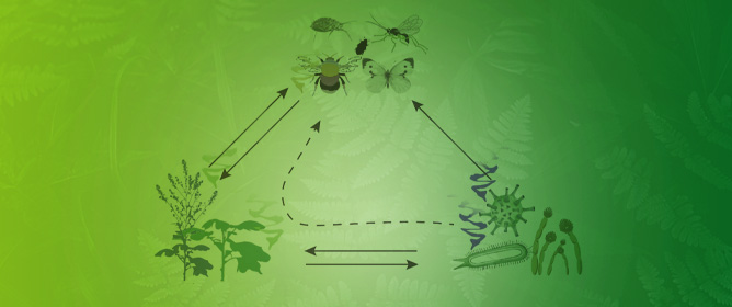 Deciphering Plant-Insect-Microorganism Signals for Sustainable Crop Production