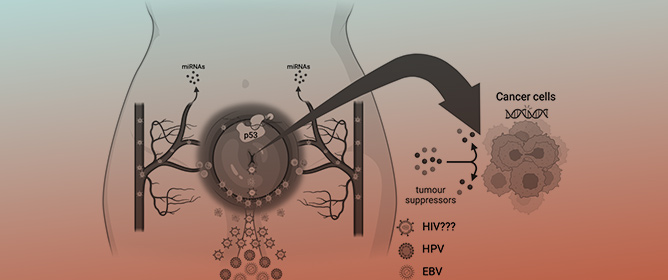 Modulatory Effect of Human Immunodeficiency Virus on Circulating p53, miR-21, and miR-125b: Any Diagnostic Implication?