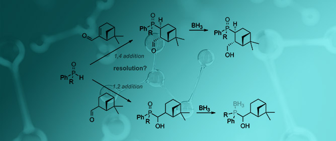 Myrtenal and Myrtanal as Auxiliaries in the Synthesis of Some C,P-Stereogenic Hydroxyphosphine Oxides and Hydroxyphosphine-Boranes Possessing up to Four Contiguous Centers of Chirality
