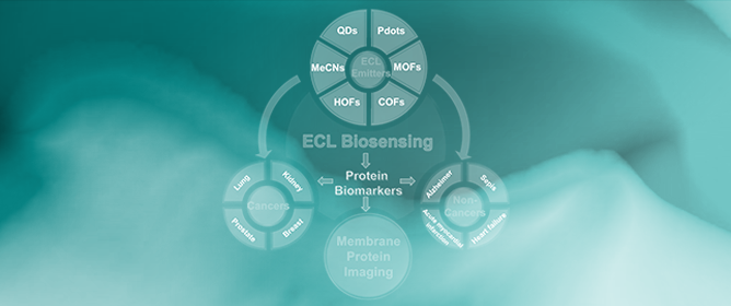 Recent Advances in Electrochemiluminescence Emitters for Biosensing and Imaging of Protein Biomarkers
