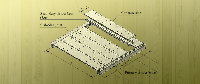Novel Demountable Timber-Concrete Composite Floor