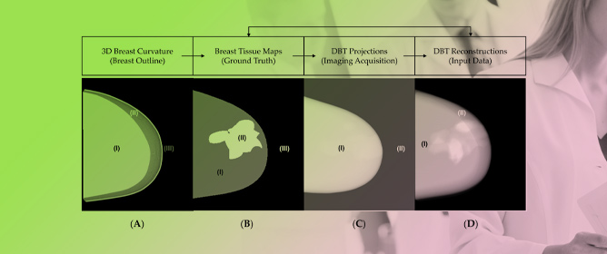 Impact of Tomosynthesis Acquisition on 3D Segmentations of Breast Outline and Adipose/Dense Tissue with AI: A Simulation-Based Study