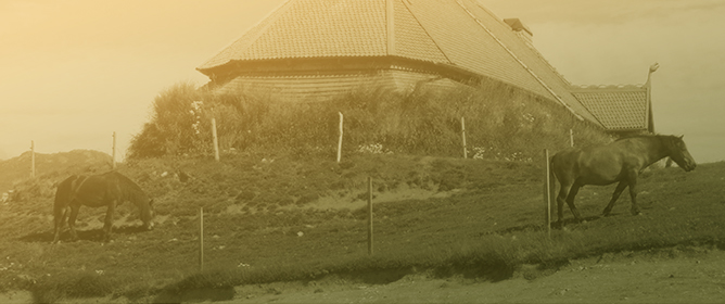 Kindness in Architecture: The Multispecies Co-Living and Co-Design