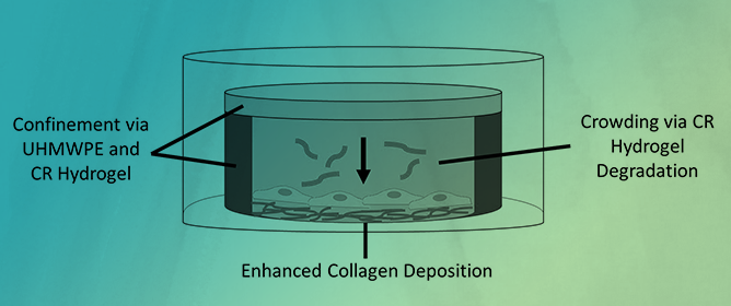 Carrageenan-Based Crowding and Confinement Combination Approach to Increase Collagen Deposition for In Vitro Tissue Development