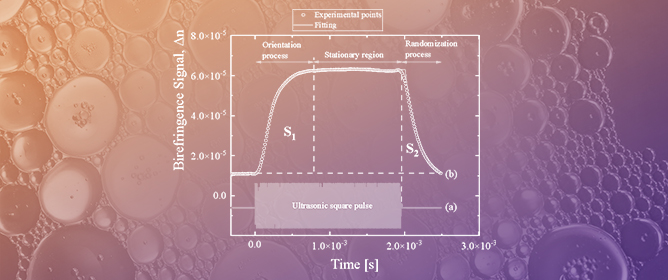 Combined Use of Ultrasonic and Electromagnetic Fields for the Study of Bonding Mechanisms between Dexamethasone Disodium Phosphate Molecules