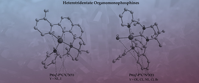Heterotridentate Organomonophosphines in Pt(&eta;<sup>3</sup>-P<sup>1</sup>C<sup>1</sup>C<sup>2</sup>)(Y) and Pt(&eta;<sup>3</sup>-P<sup>1</sup>C<sup>1</sup>N<sup>1</sup>)(Y) Derivatives&mdash;Structural Aspects