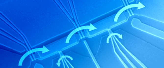 The Metrology of Quantities Which Can Be Counted