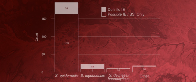 Bloodstream Infection Due to Coagulase-Negative Staphylococci: Impact of Species on Prevalence of Infective Endocarditis