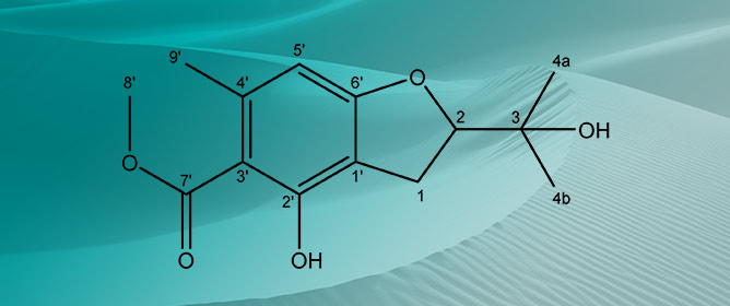 Methyl-4-hydroxy-2-(2-hydroxypropan-2-yl)-6-methyl-2,3-dihydrobenzofuran-5-carboxylate