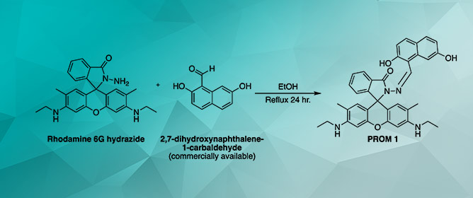Synthesis and Characterization of 2-(((2,7-Dihydroxynaphthalen-1-yl)methylene)amino)-3&prime;,6&prime;-bis(ethylamino)-2&prime;,7&prime;-dimethylspiro[isoindoline-1,9&prime;-xanthen]-3-one and Colorimetric Detection of Uranium in Water