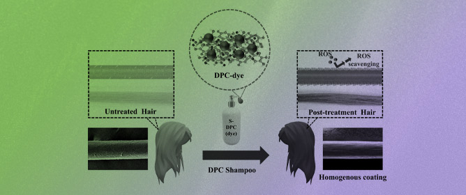 Multicolor Hair Dyeing with Biocompatible Dark Polyphenol Complex-Integrated Shampoo with Reactive Oxygen Species Scavenging Activity