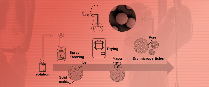 Tailoring Dry Microparticles for Pulmonary Drug Delivery: Ultrasonic Spray Freeze-Drying with Mannitol and Salbutamol Sulphate