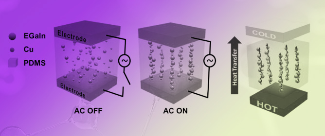 Dielectrophoretic Alignment of Biphasic Metal Fillers for Thermal Interface Materials
