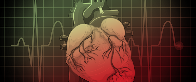From Beat to Breakthrough: Unlocking the Heart's Development Potential