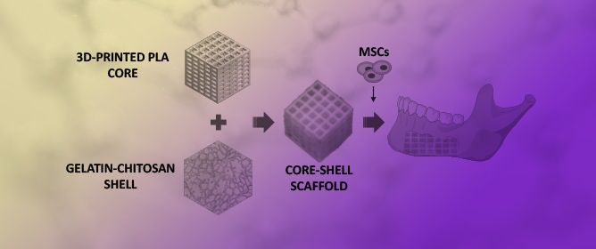 New Poly(lactic acid)&ndash;Hydrogel Core&ndash;Shell Scaffolds Highly Support MSCs&rsquo; Viability, Proliferation and Osteogenic Differentiation