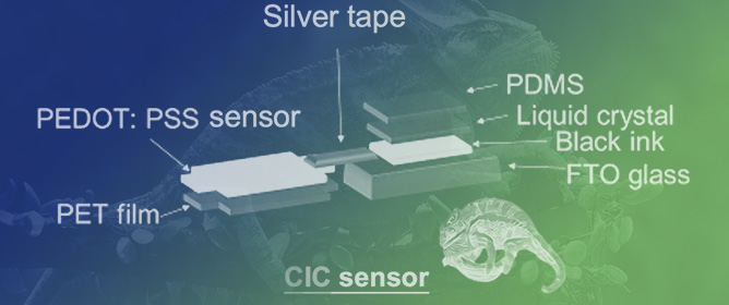 Chameleon-Inspired Colorimetric Sensors for Real-Time Detections with Humidity
