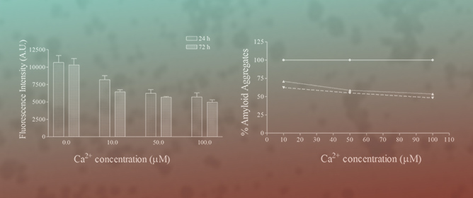 The Effect of Calcium Ions on hIAPP Channel Activity: Possible Implications in T2DM