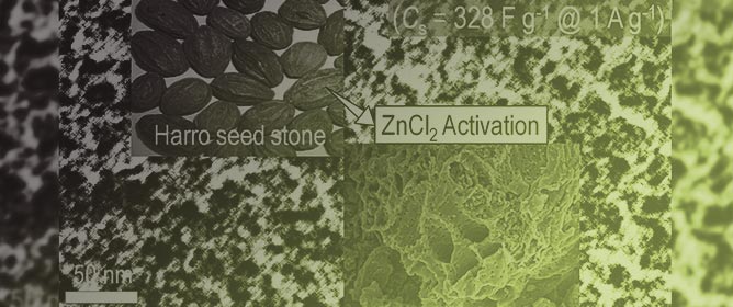 Nanoporous Activated Carbon Material from <em>Terminalia chebula</em> Seed for Supercapacitor Application