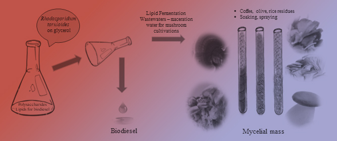 Yeast Lipids from Glycerol and Utilization of Lipid Fermentation Wastewater in Mushroom Cultures