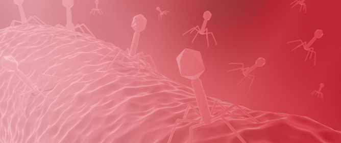 Choice of Ultrafilter Affects Recovery Rate of Bacteriophages