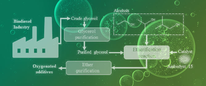 Experimental and Simulation Studies for Purification and Etherification of Glycerol from the Biodiesel Industry