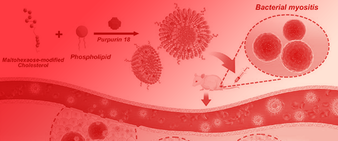 Recent Advances in Combating Bacterial Infections by Using Hybrid Nano-Systems