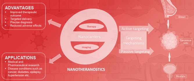 Nanotheranostics: Platforms, Current Applications, and Mechanisms of Targeting in Breast and Prostate Cancers