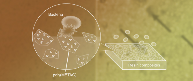 Development of Antibacterial Resin Composites Incorporating Poly(METAC) Clusters