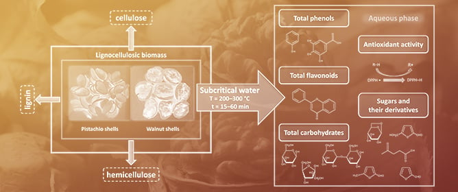 The Conversion of Pistachio and Walnut Shell Waste into Valuable Components with Subcritical Water