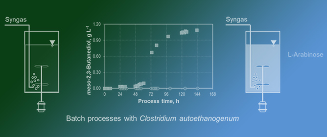 Mixotrophic Syngas Conversion Enables the Production of <em>meso</em>-2,3-butanediol with <em>Clostridium autoethanogenum</em>