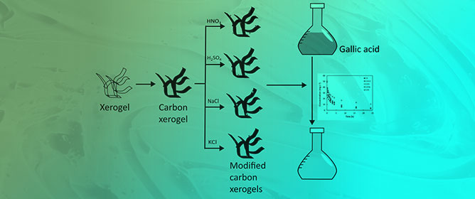 Unlocking the Potential of Chemically Modified Carbon Gels in Gallic Acid Adsorption