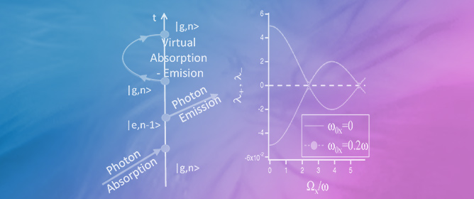 Atoms Dressed by Virtual and Real Photons