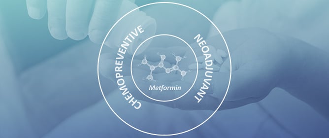 Metformin: From Diabetes to Cancer&mdash;Unveiling Molecular Mechanisms and Therapeutic Strategies