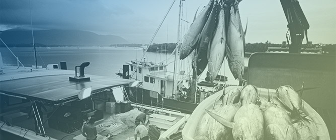 Exploring the Intricate Connections between the Influence of Fishing on Marine Biodiversity and Their Delivery of Ecological Services Driven by Different Management Frameworks